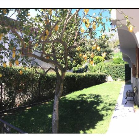 Villa Dei Fiori - Exclusive Villa With Garden In Sorrento Coast 비코에쿠엔세 외부 사진