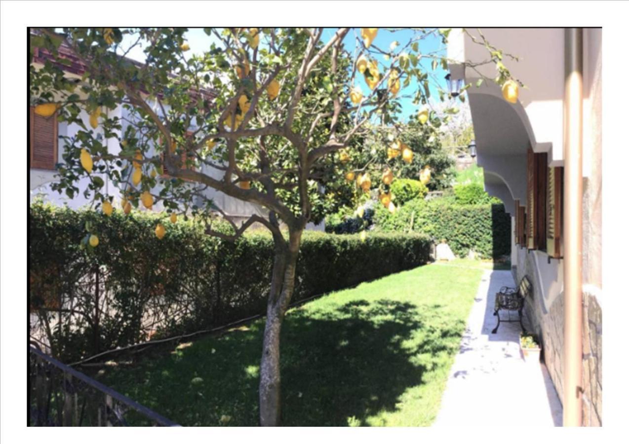Villa Dei Fiori - Exclusive Villa With Garden In Sorrento Coast 비코에쿠엔세 외부 사진